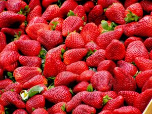 strawberries-99551