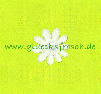 (c) Gluecksfrosch.de